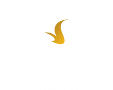 Vinschool